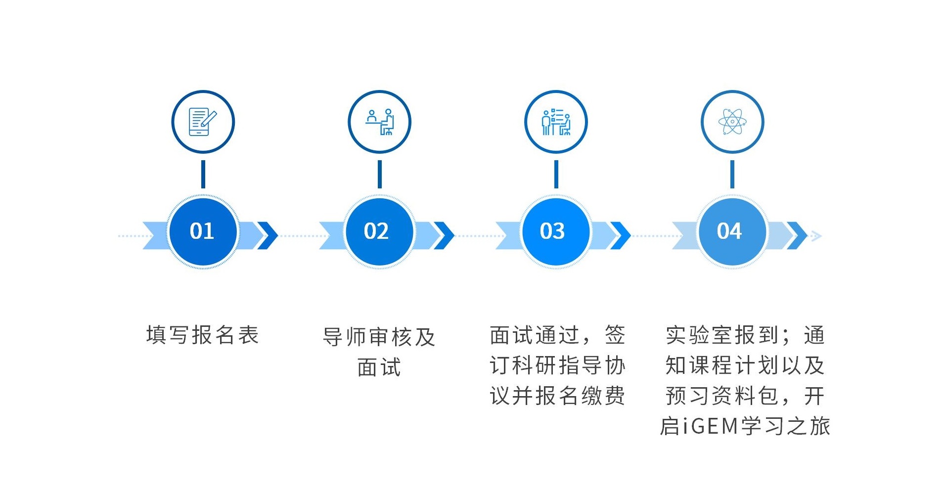 IGEM报名及面试流程